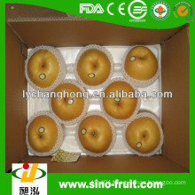 Chinese Fengshui Pear fresh fruit names of all dry fruits of 2014